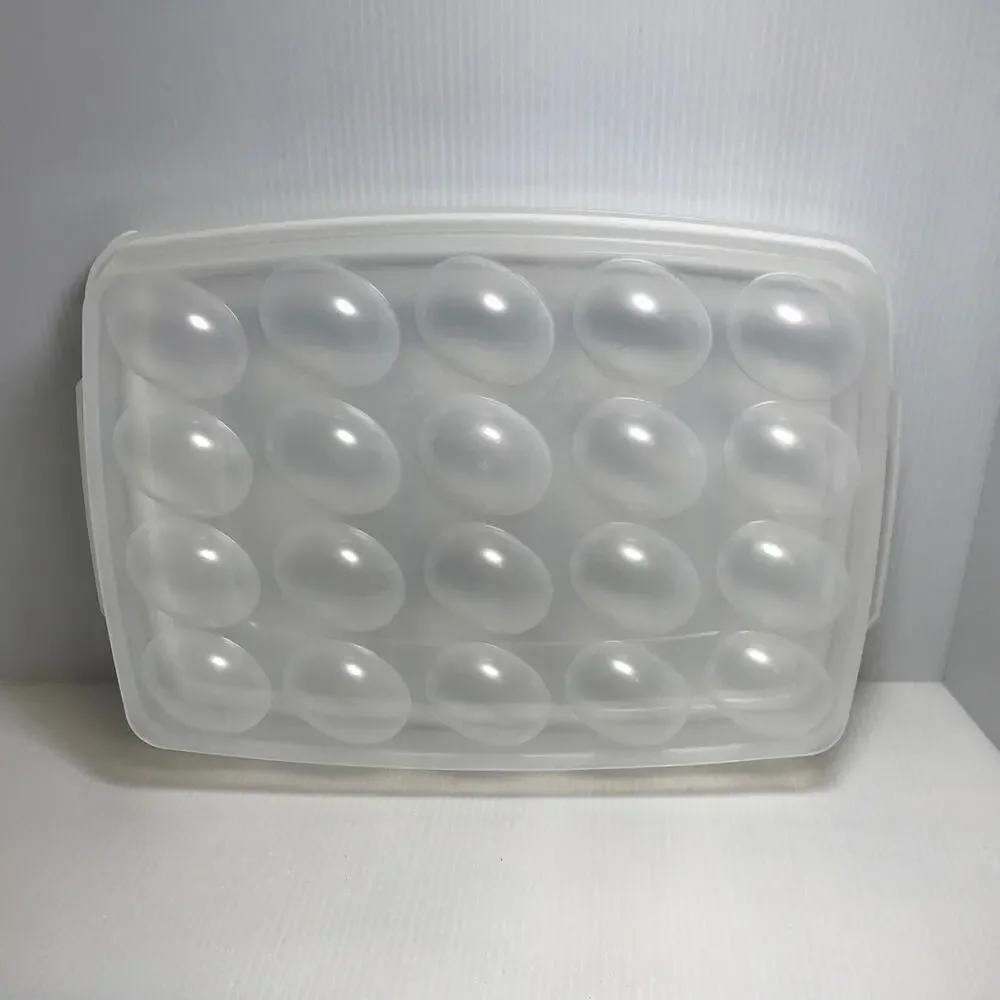 Rubbermaid Vintage Storage Container Holds 20 Eggs